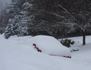 just down the street