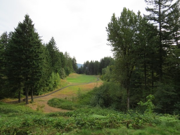Skamania Lodge golf course, 7th fairway