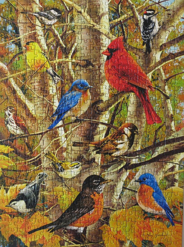 backyard_birds_puzzle