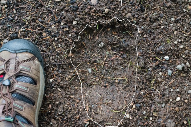 bear_foot_print3