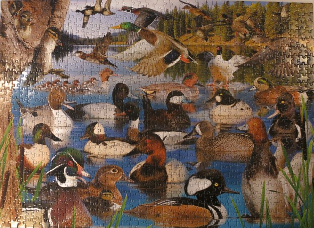 ducks_puzzle