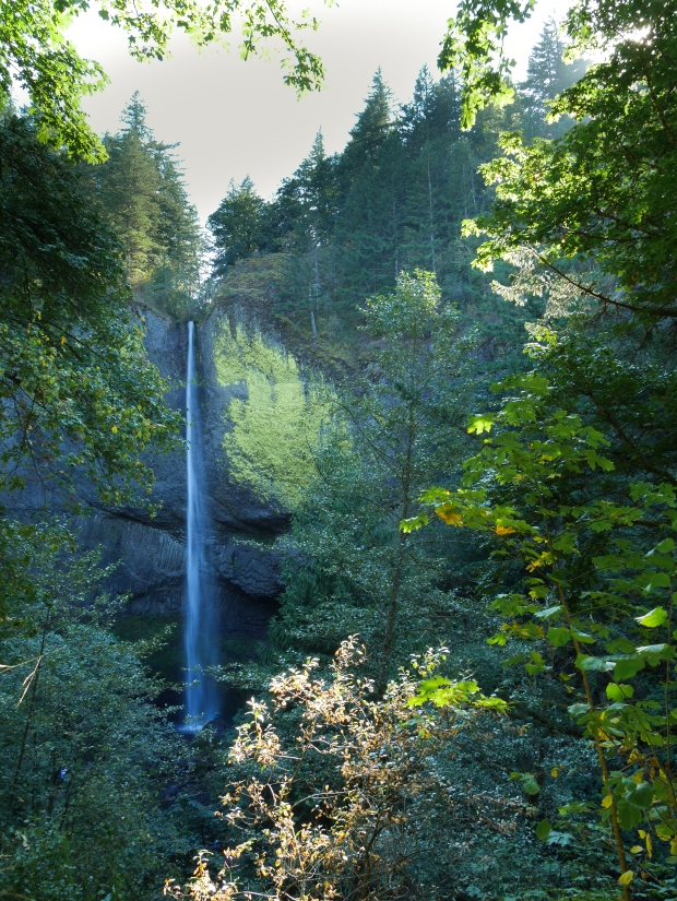 Latourell Falls, 224 feet