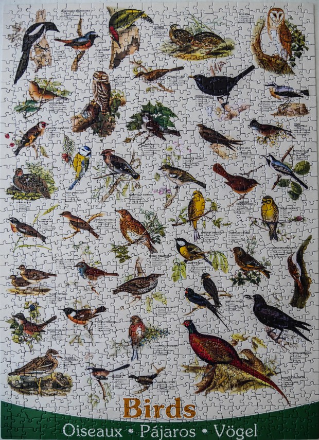 Birds_puzzle