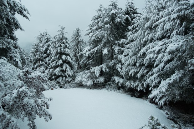 View from our bedroom this morning.