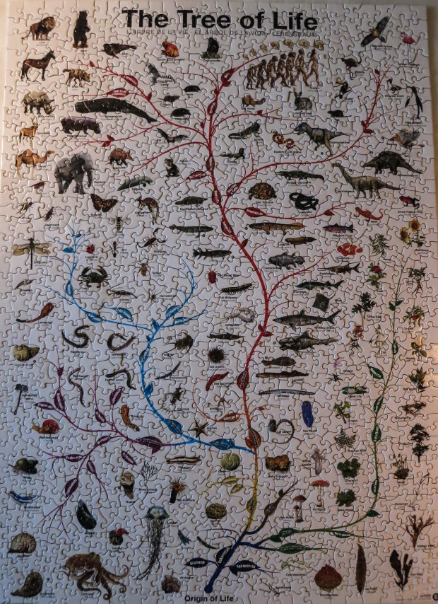Tree_of_Life_puzzle