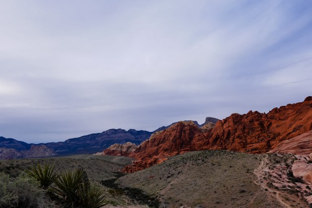 Red_Rock_Canyon_814