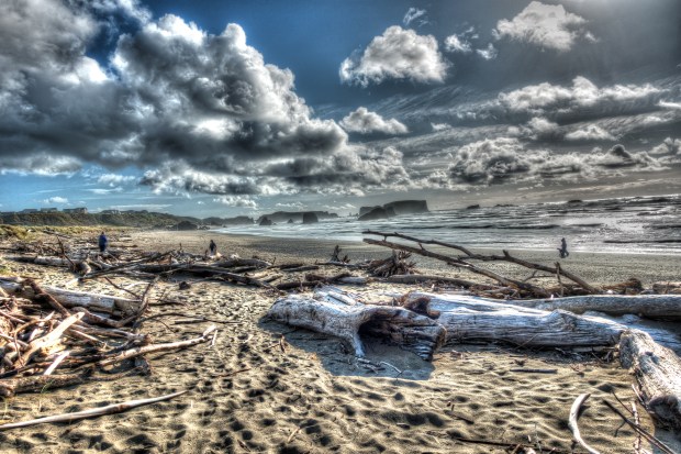 Bandon_Beach_driftwood_0595