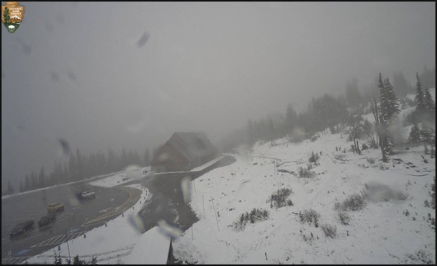 NPS Webcam at Paradise visitor center