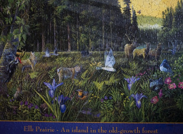 Elk_Prairie_puzzle