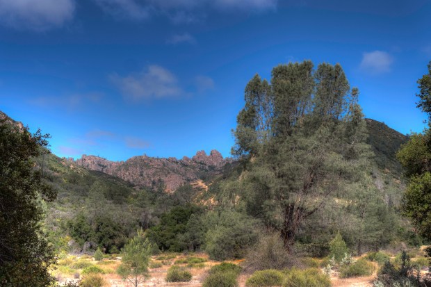 pinnacles_np_1020098
