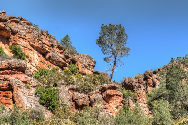 pinnacles_np_1020187