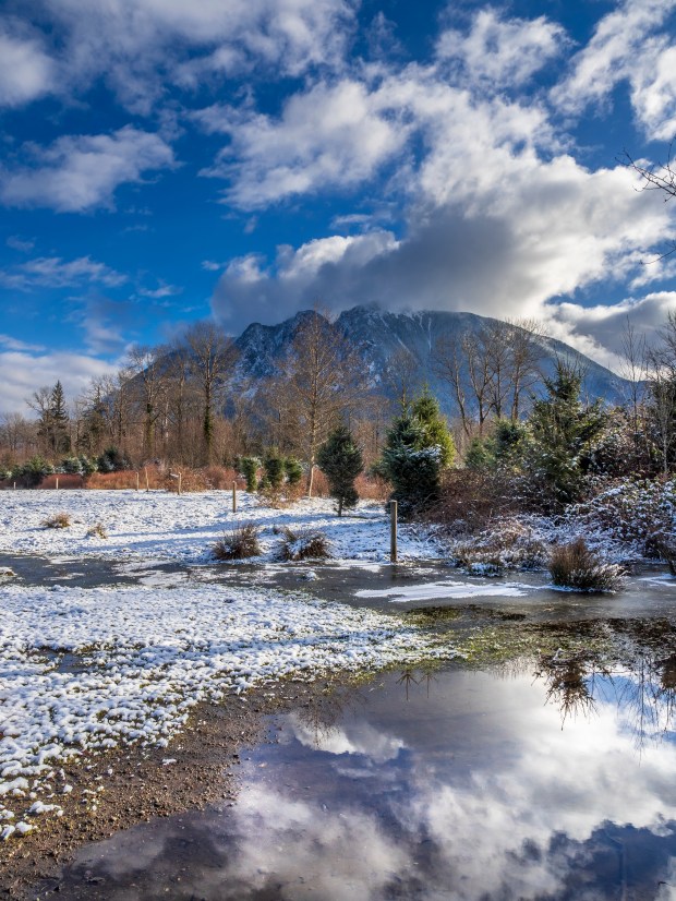 Mt_Si_snowy_sun_1000288_b