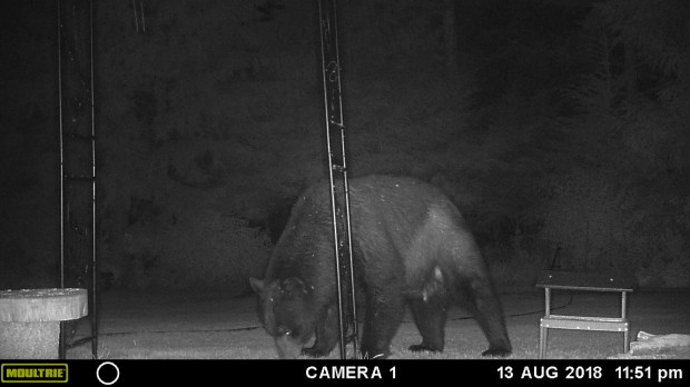 MOULTRIE DIGITAL GAME CAMERA